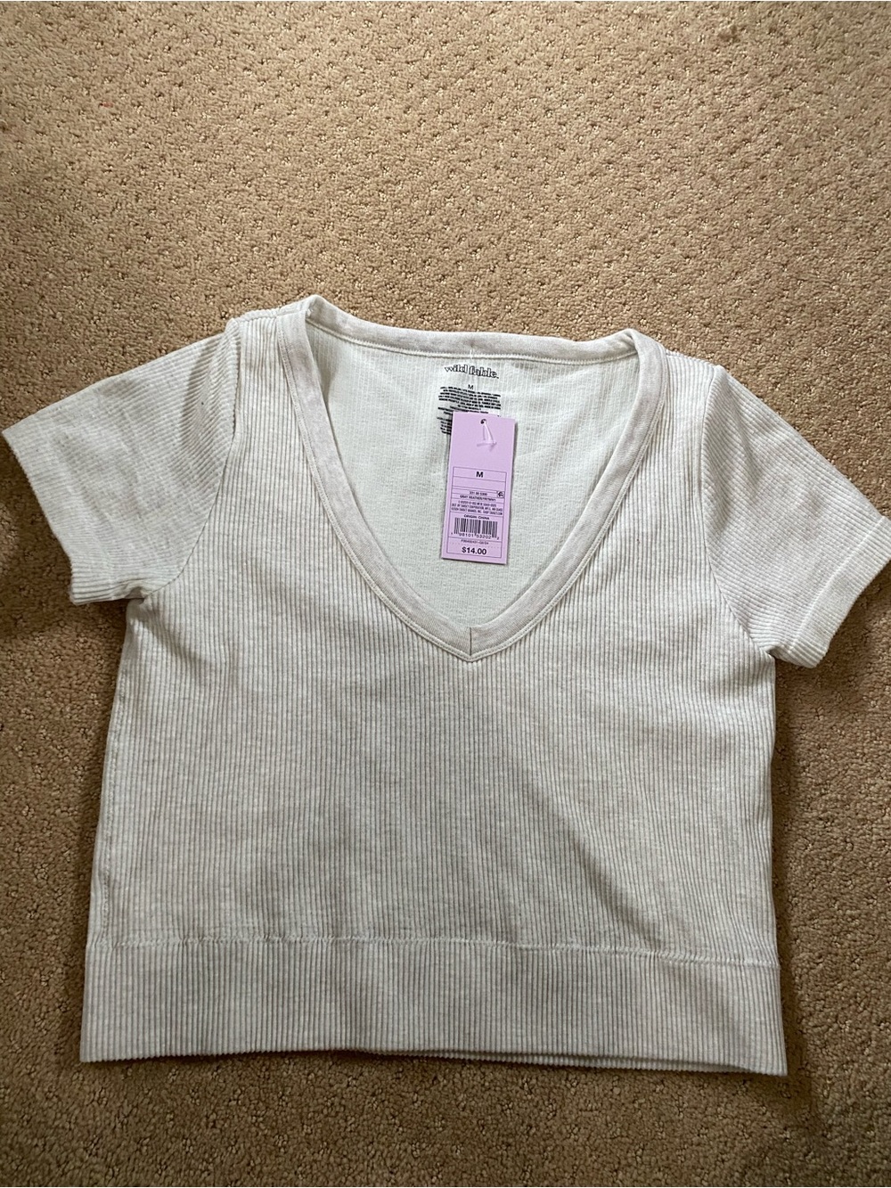 wild fable light gray Ribbed V-Neck Cropped Tee